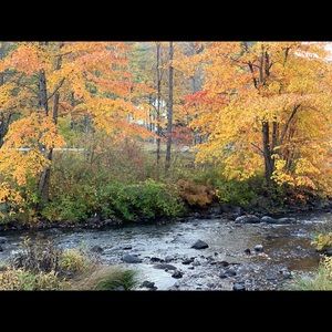 Meet your Posher, Asmaa